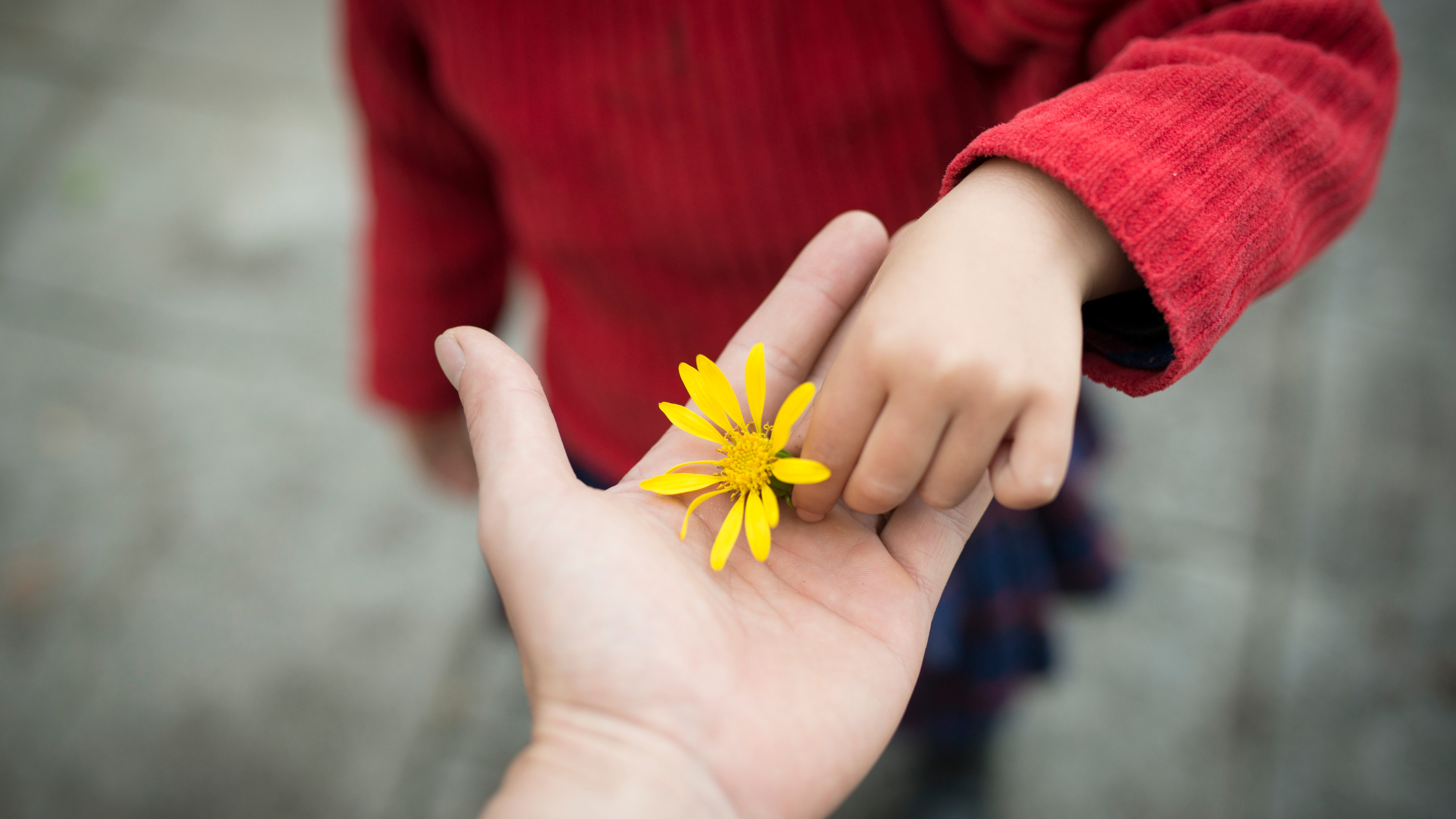7 Practical Ways to Bring Gratitude Into Daily Life Without Forcing It