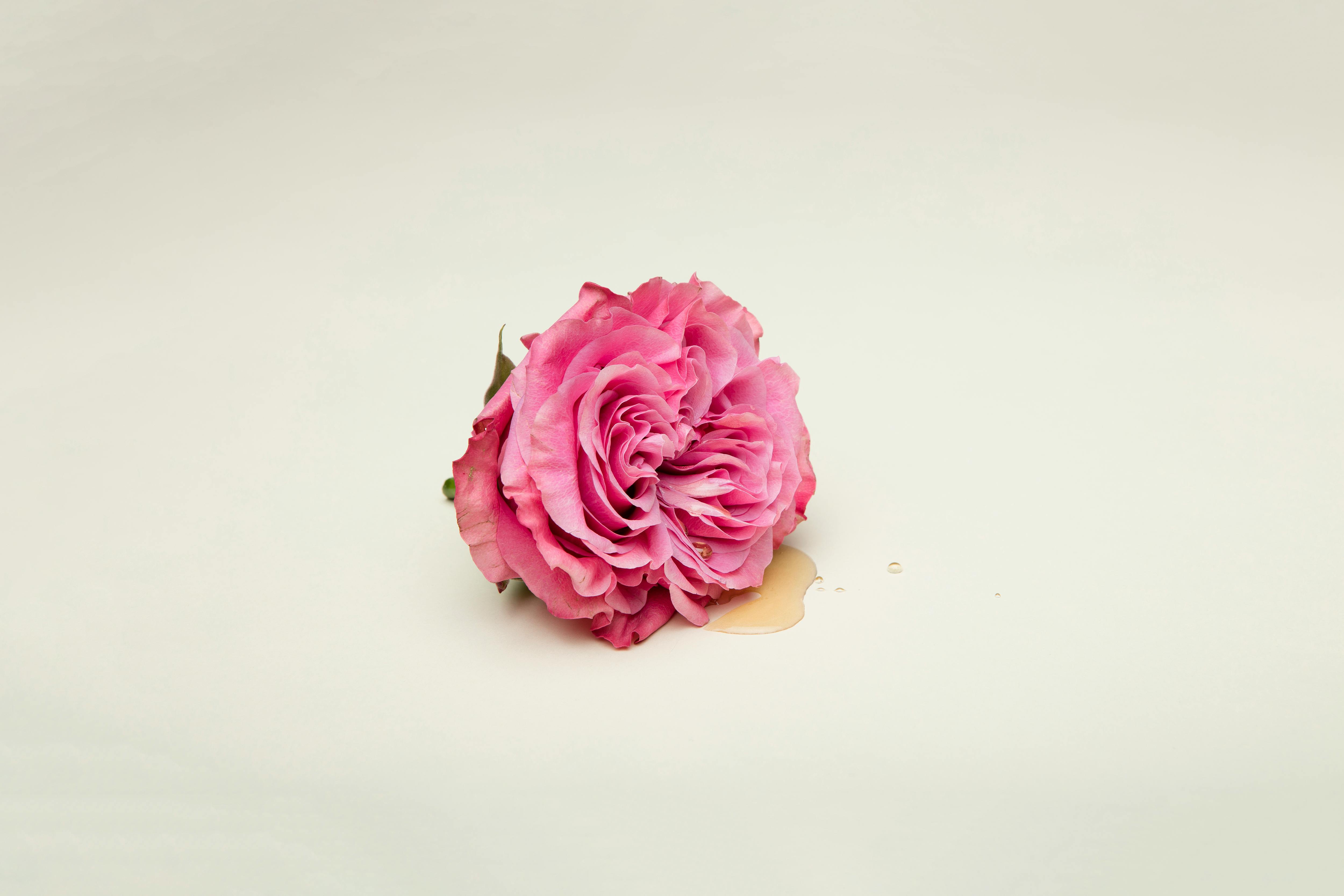 What to Let Go of Before the New Year (And What to Leave Untouched)